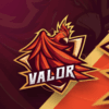 Team Valor