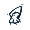 NS ESPORTS