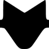 Z31